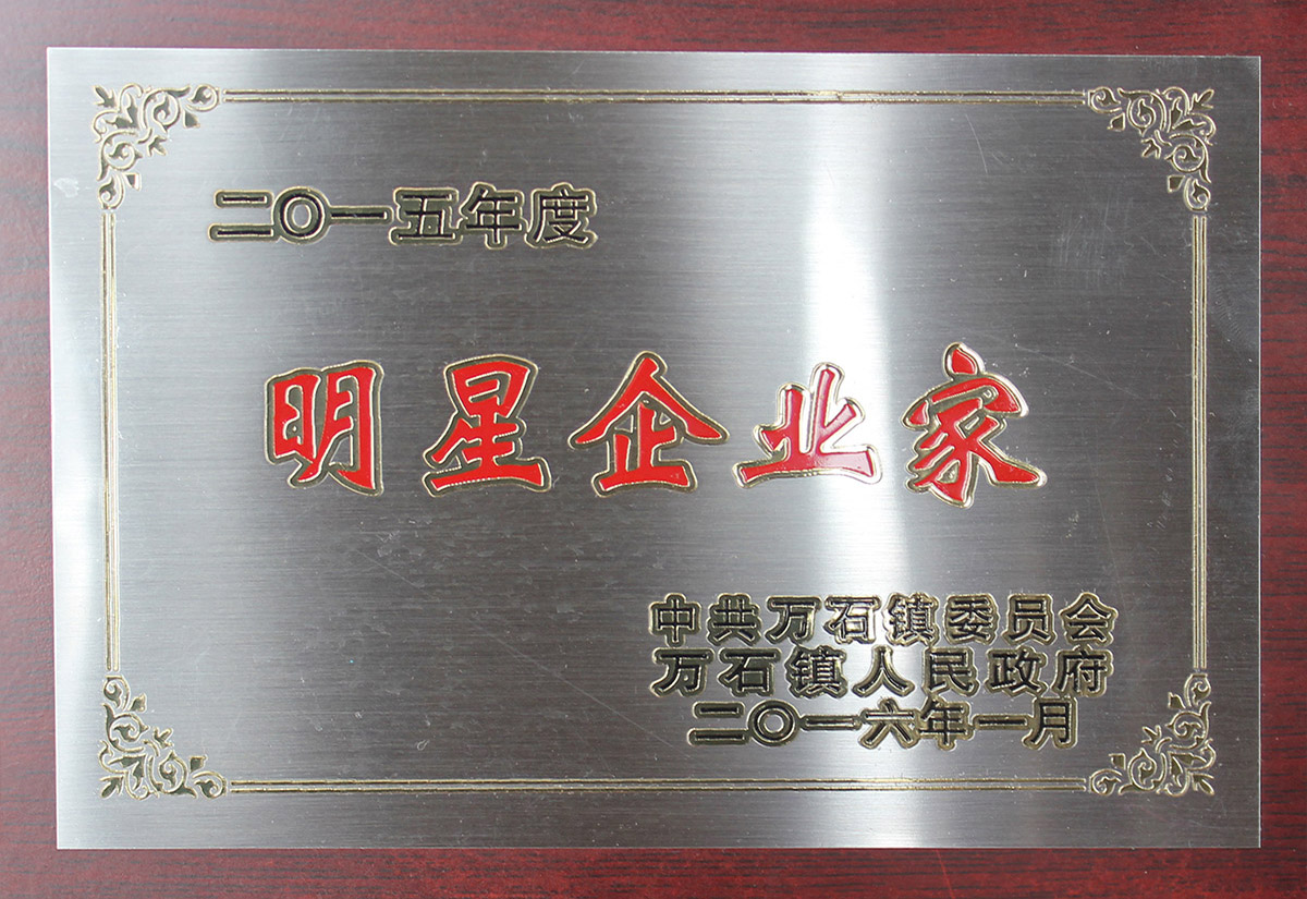 2015年度明星企業家